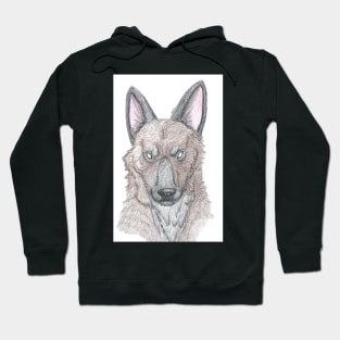 Spooky Shepherd Hoodie